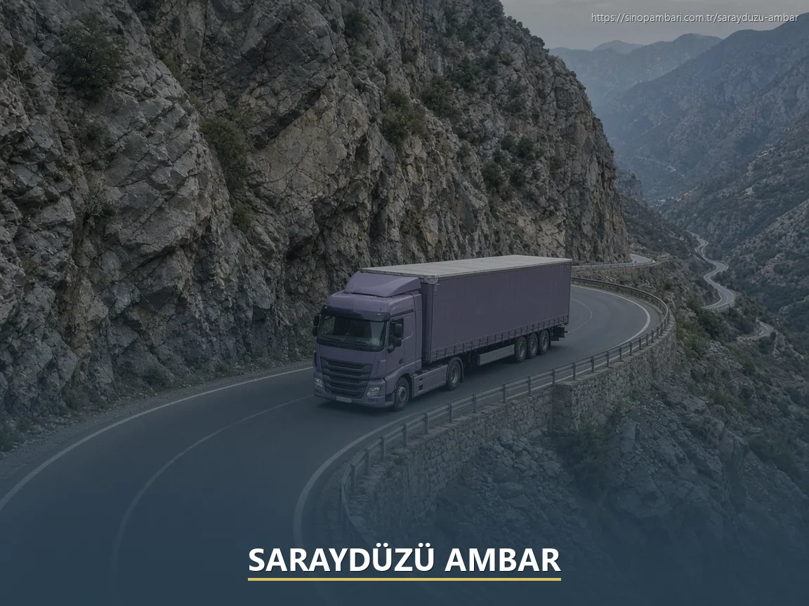 Saraydüzü Ambar